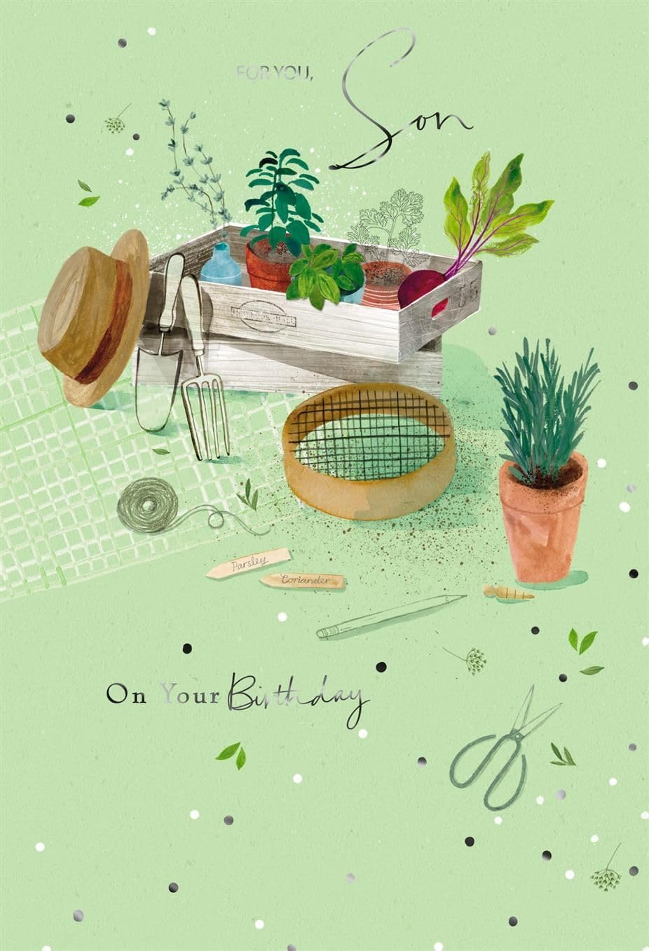 Pot Plants Garden For You Son Birthday Card