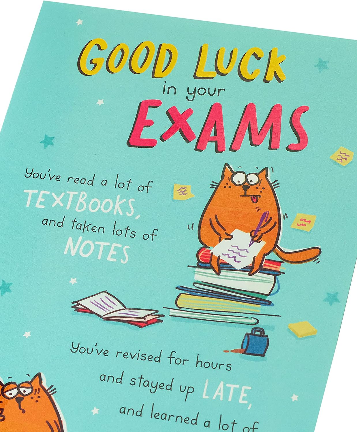 Funny Good Luck in Your Exam Card