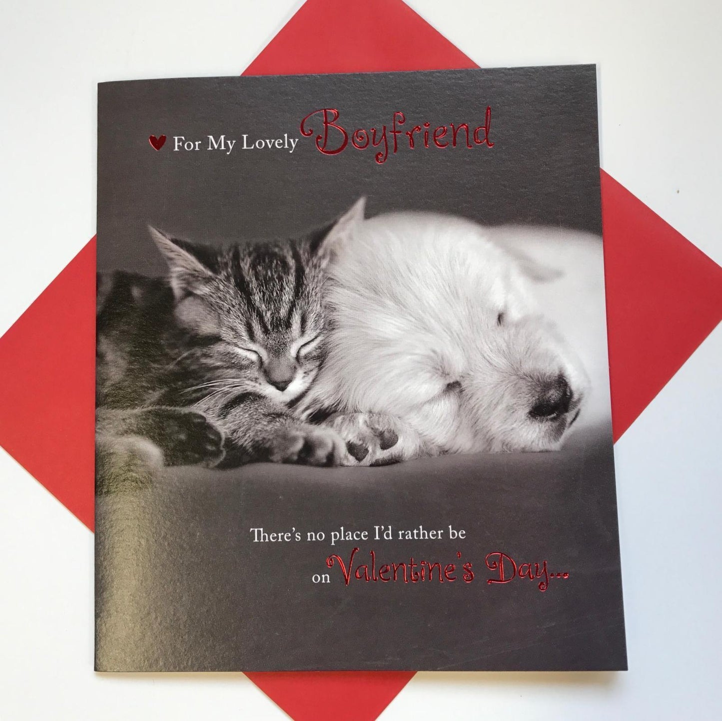 For My Lovely Boyfriend Cat & Puppy Valentine's Day Card