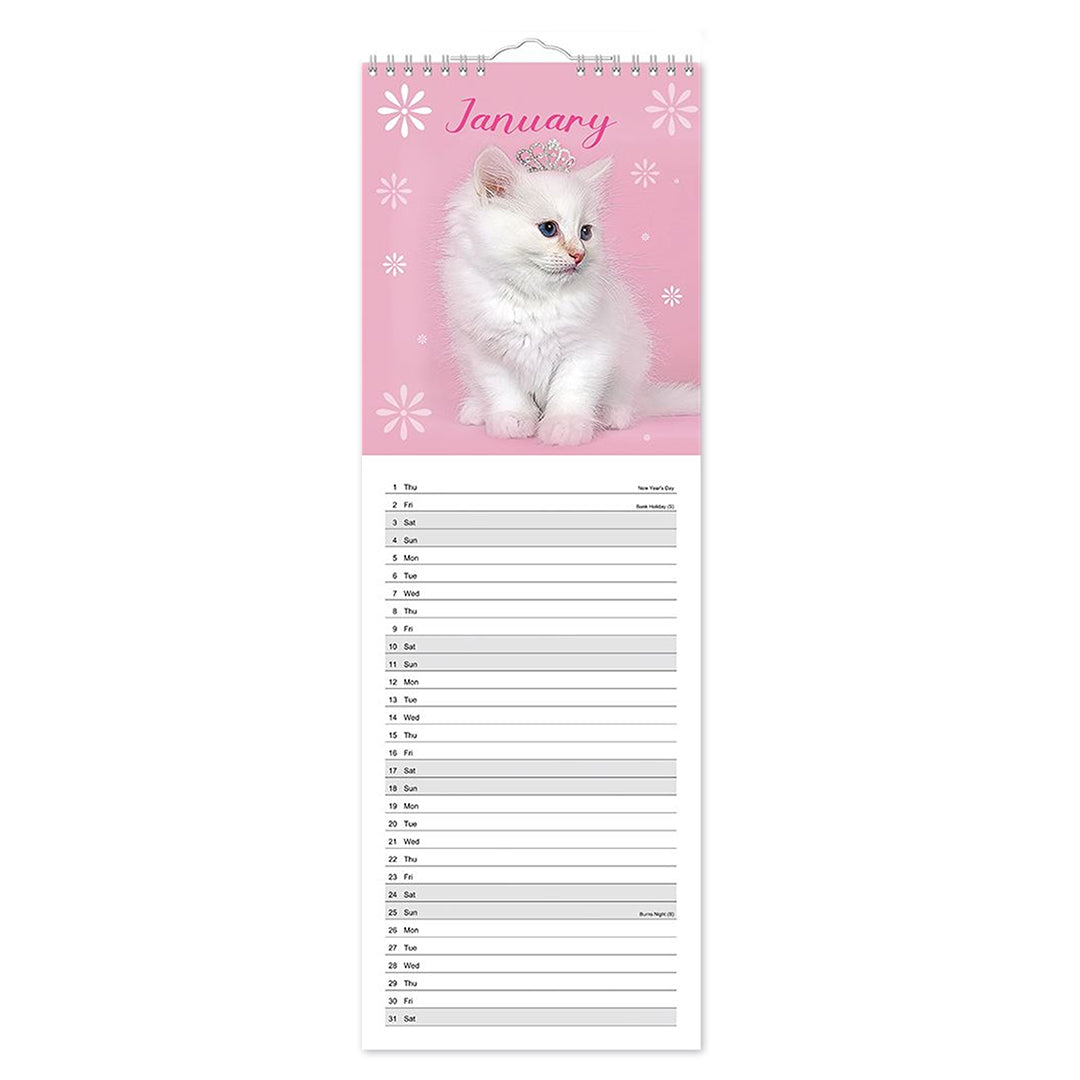 Slim Month To View Calendar 2026 – Photographic Cats – 143mm x 417mm