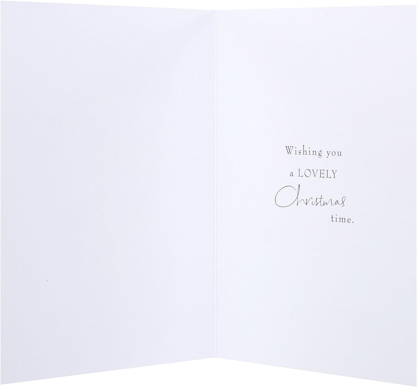 Hallmark Charity Christmas Card Pack 'Seasons Greetings' 8 Cards, 1 Design