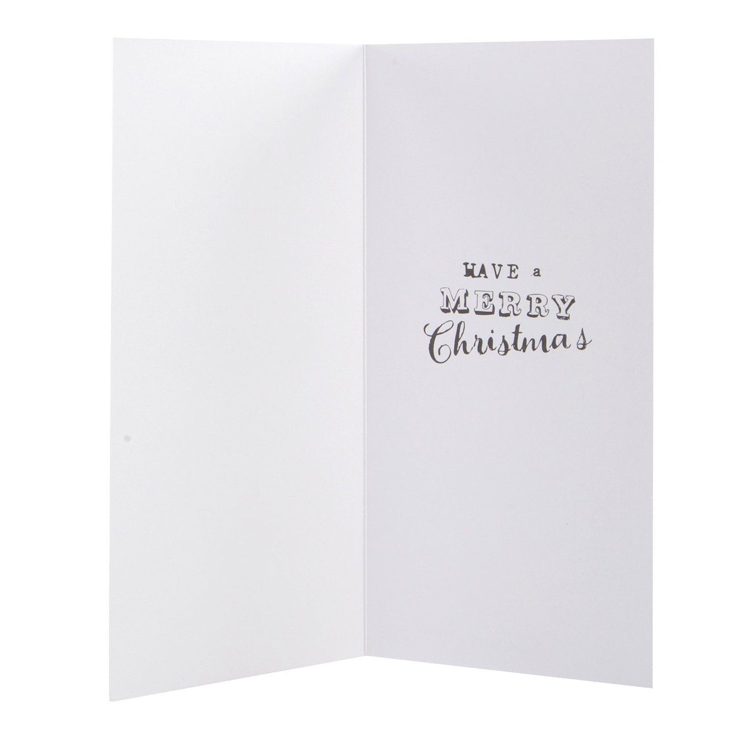 Christmas Boxed Cards Cute Design Pack of 12 with 2 Designs 
