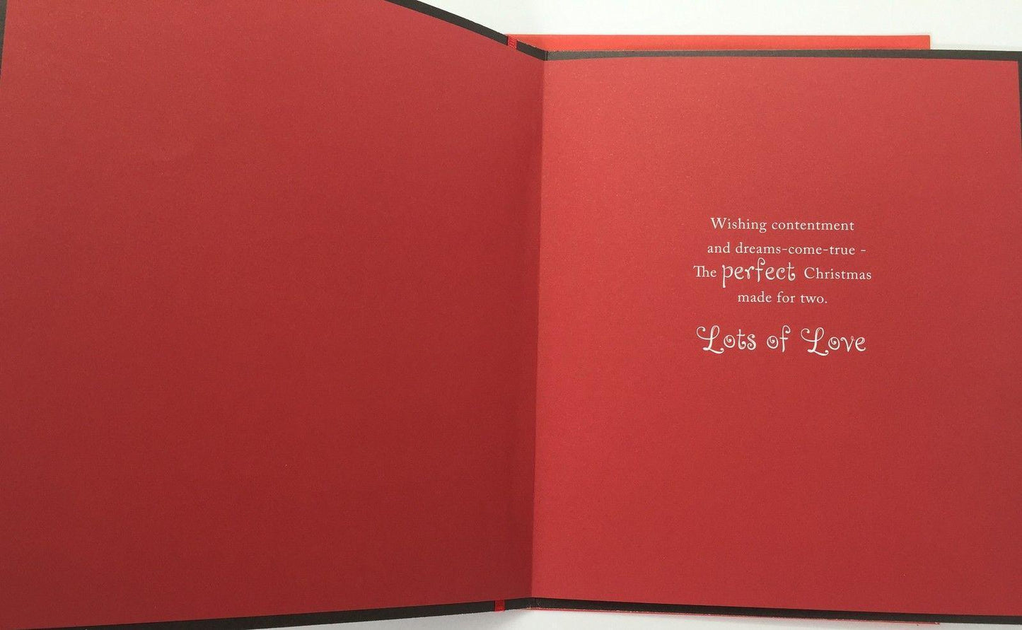 Both of You Santa Adorable Cat And Dog Couple Sleeping Christmas Card