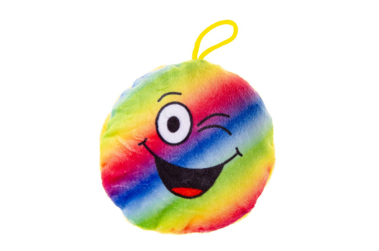 Pack of 24 Plush Rainbow Emotion Faces 10cm