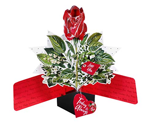Second Nature Valentine's Day Pop Up Card with Red Rose
