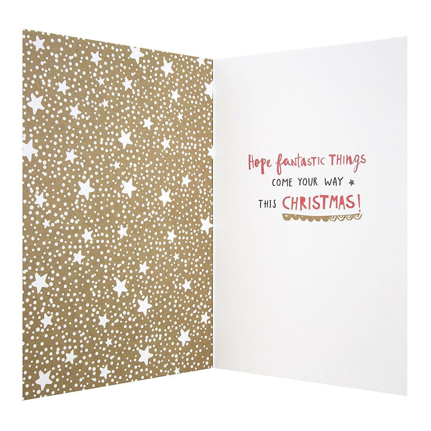 To All "Fantastic Things" Christmas Card 