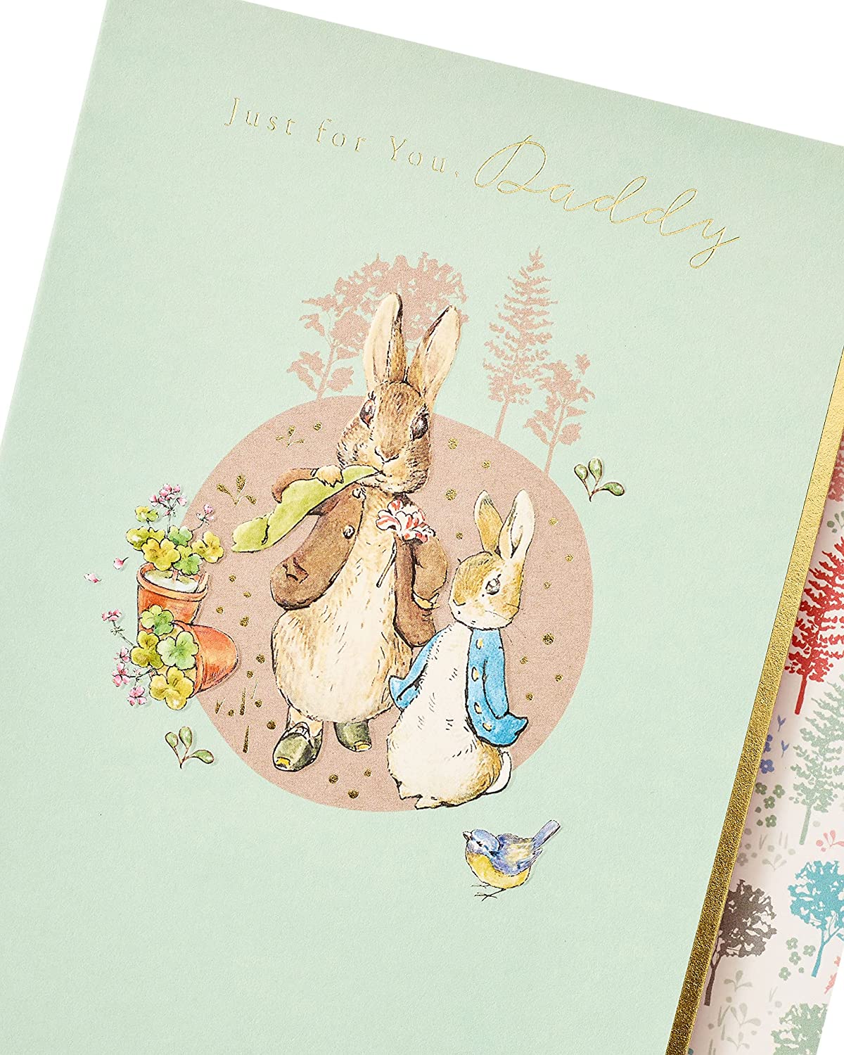 Peter Rabbit Birthday Card for Daddy