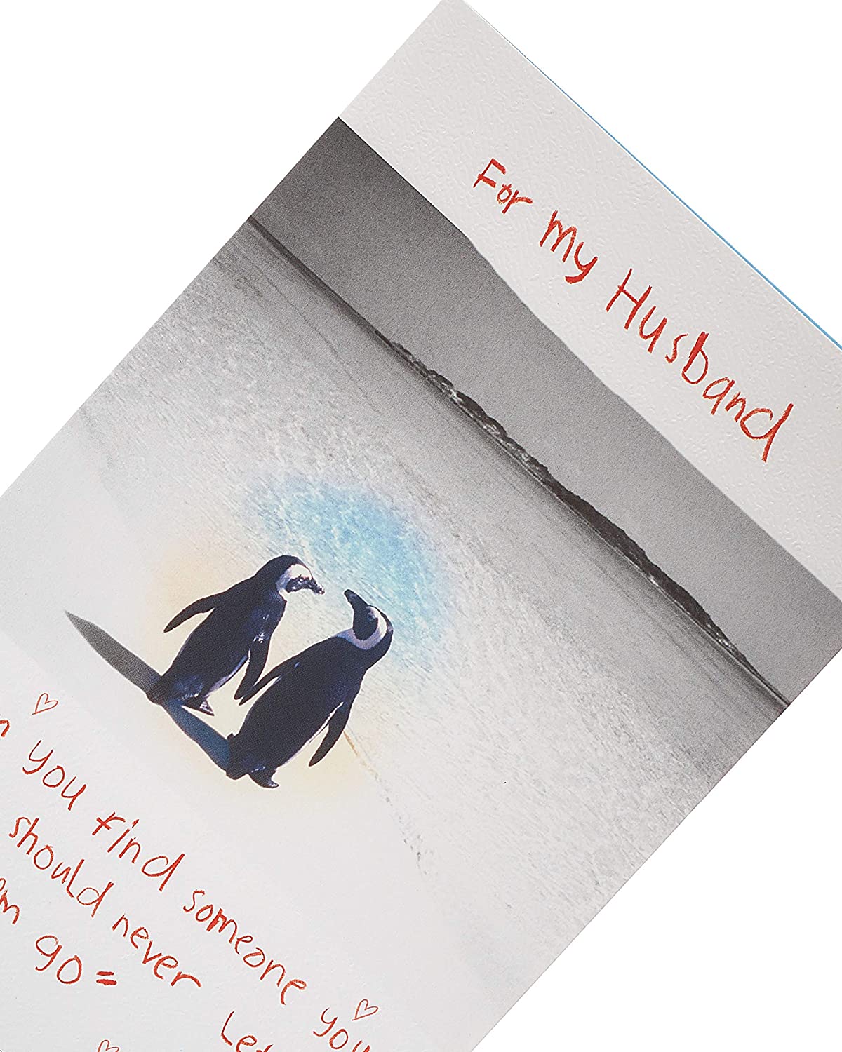 Husband Birthday Card Romantic Pengiuns Couple On Sea Side