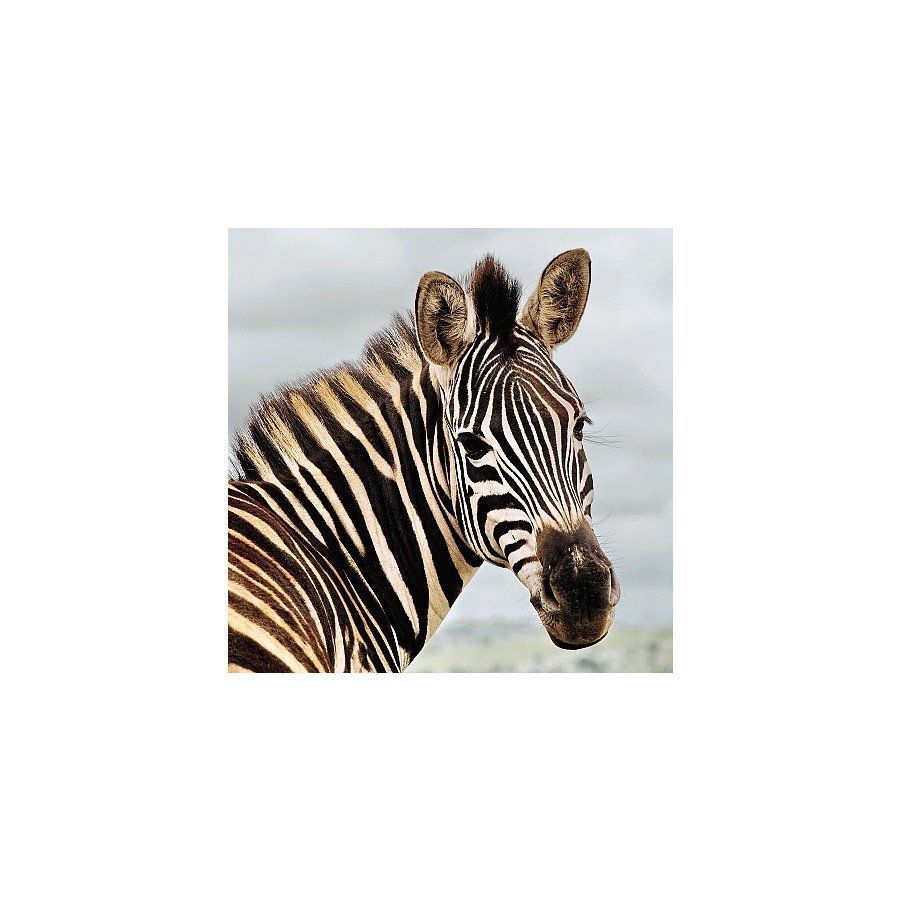 Amazing 3D Effect Holographic Greeting Card Up Close Zebra