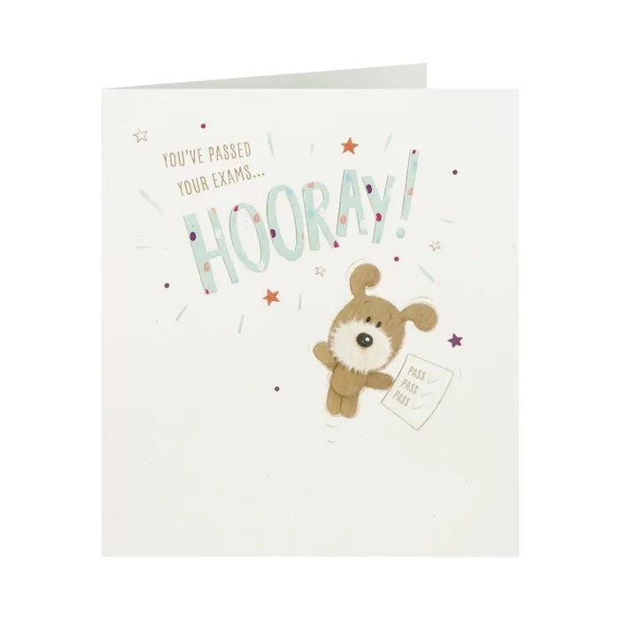 You've Passed Your Exams Hooray! Congratulations Card