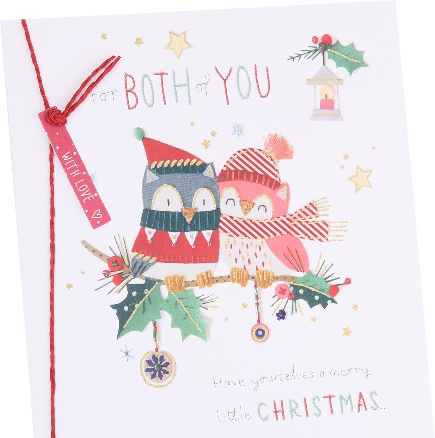 Owls Sitting on a Branch Both of You Christmas Card