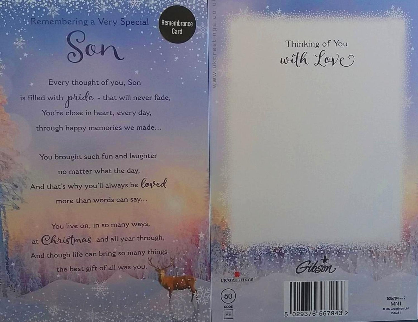  Special Son Remembering You At Christmas Card Winter Woodland
