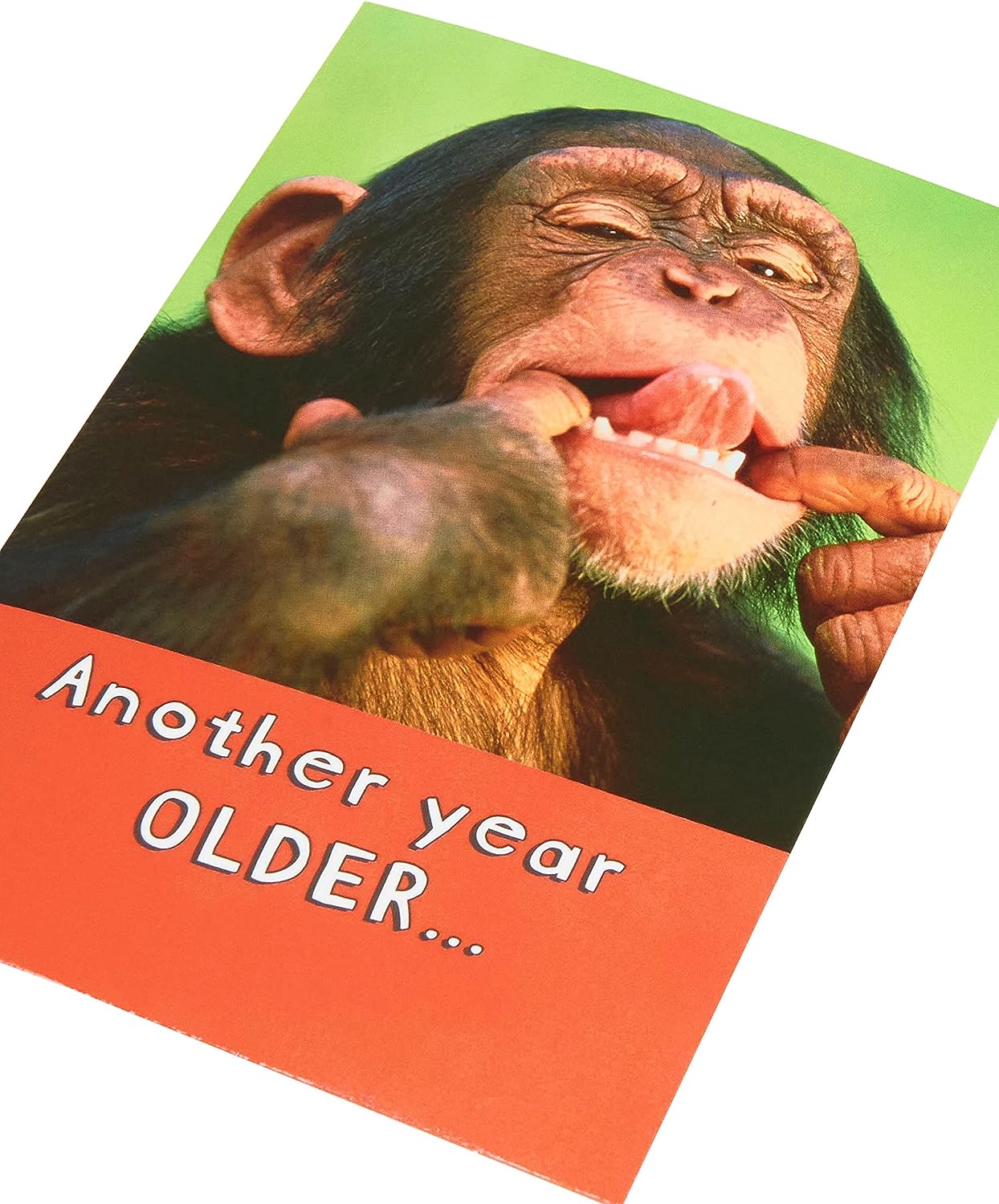 Funny Photographic Monkey Design Birthday Card