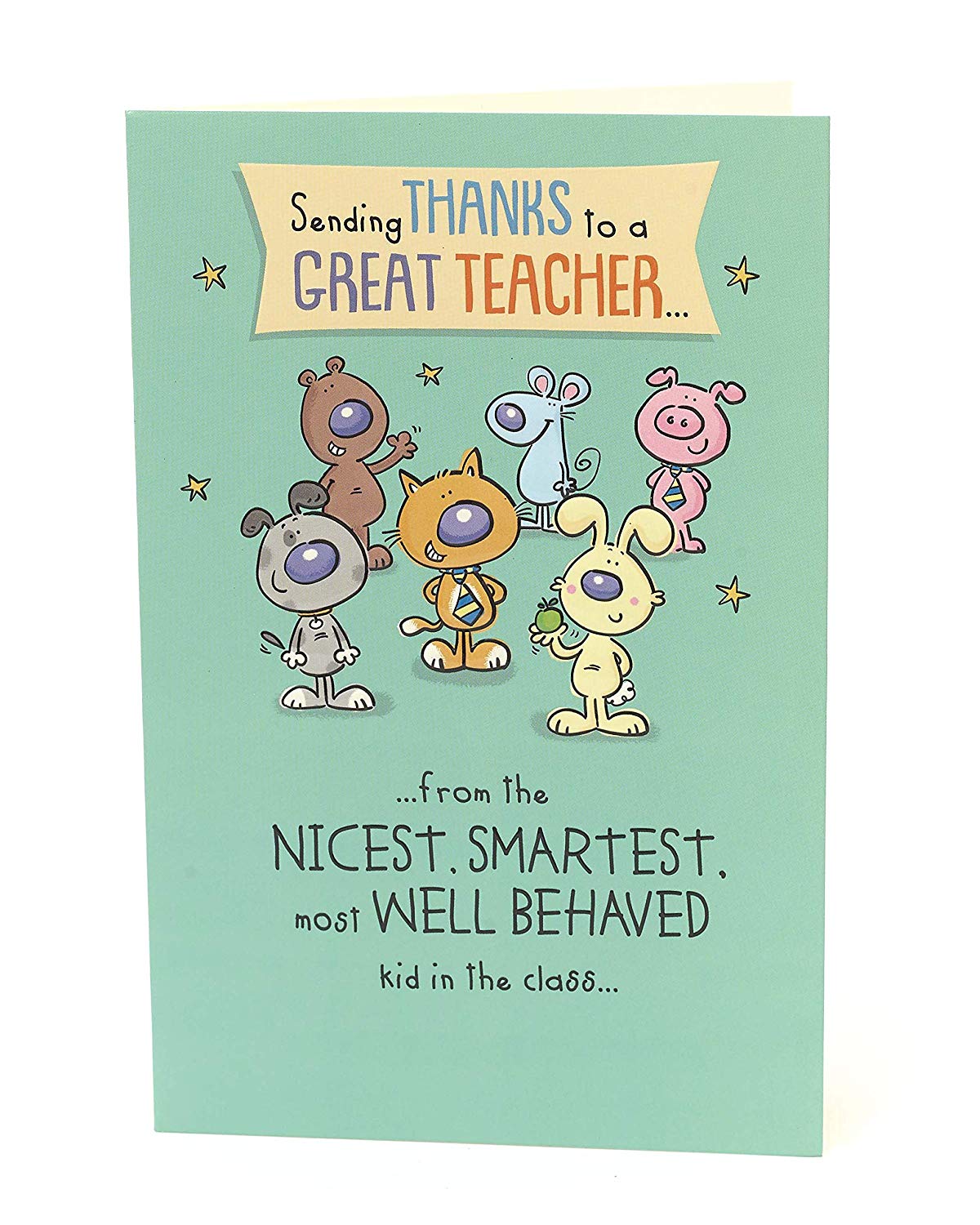 Teacher Thank You Appreciation Card Humour 