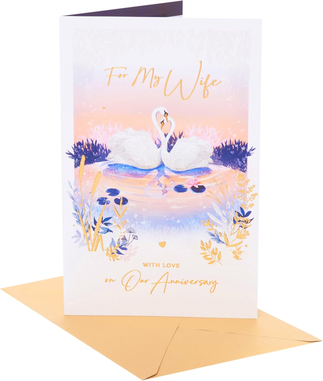 Romantic Swans Design Wife Wedding Anniversary Card