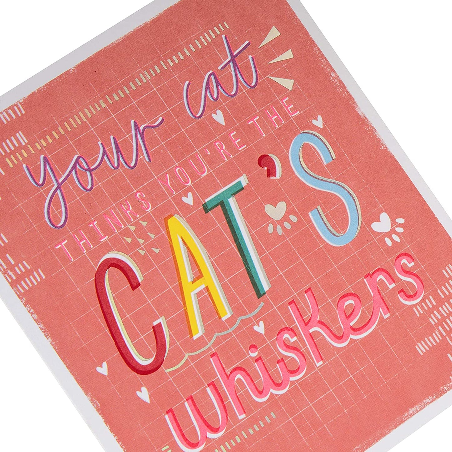 From The Cat Embossed Text Design Valentine's Day Card