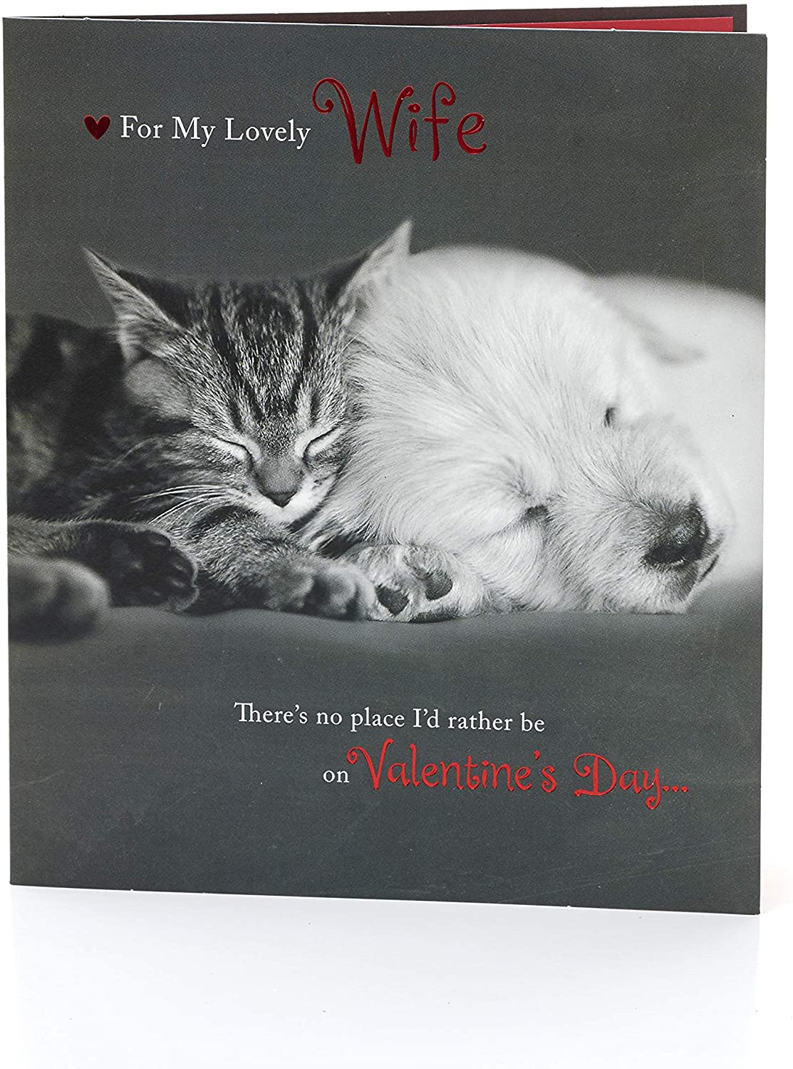 Wife Cute Kitten & Puppy Talk To The Paw Valentine's Day Greeting Card