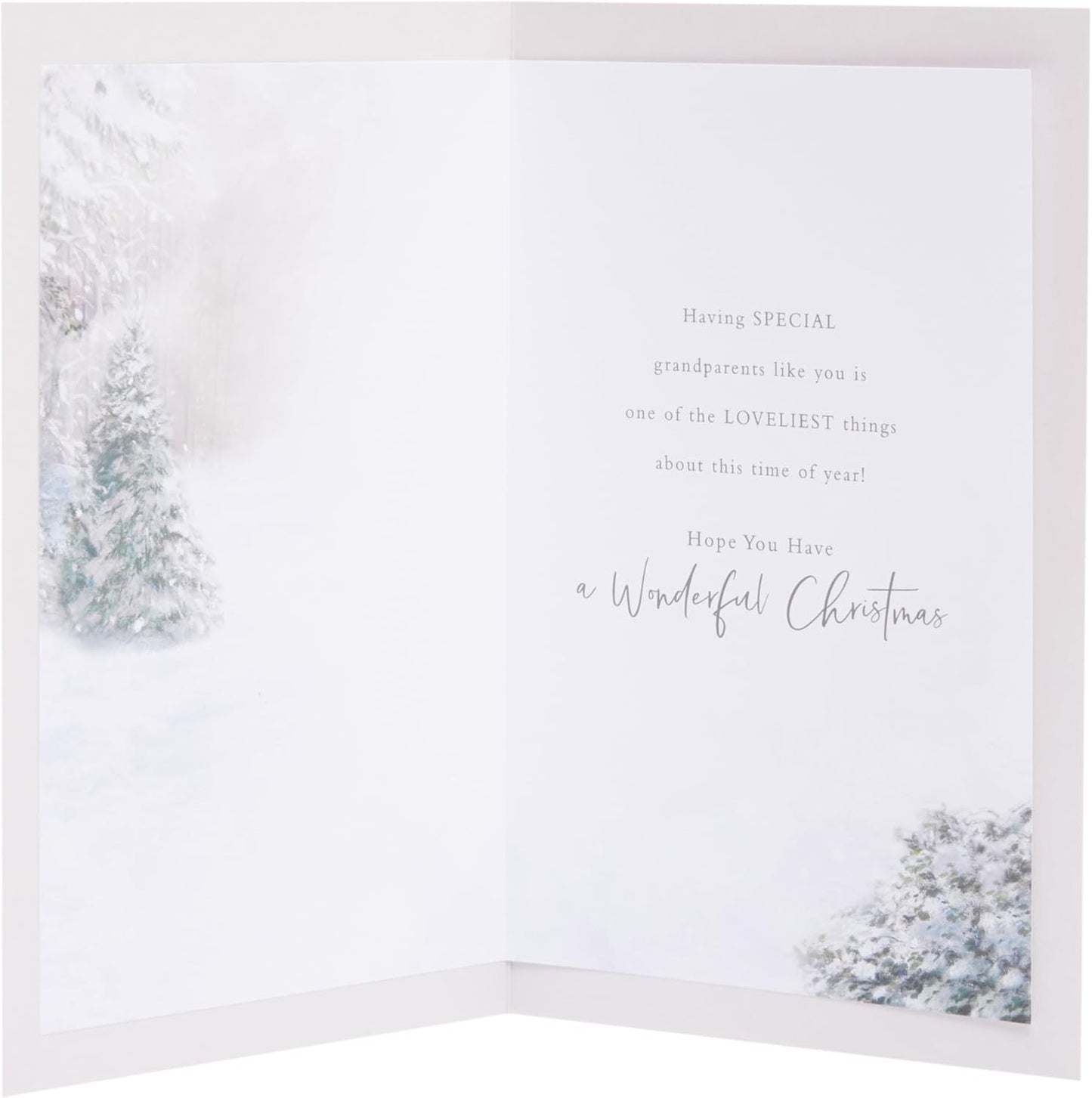 Stunning Snowcouple Design Nana & Grandad Christmas Card