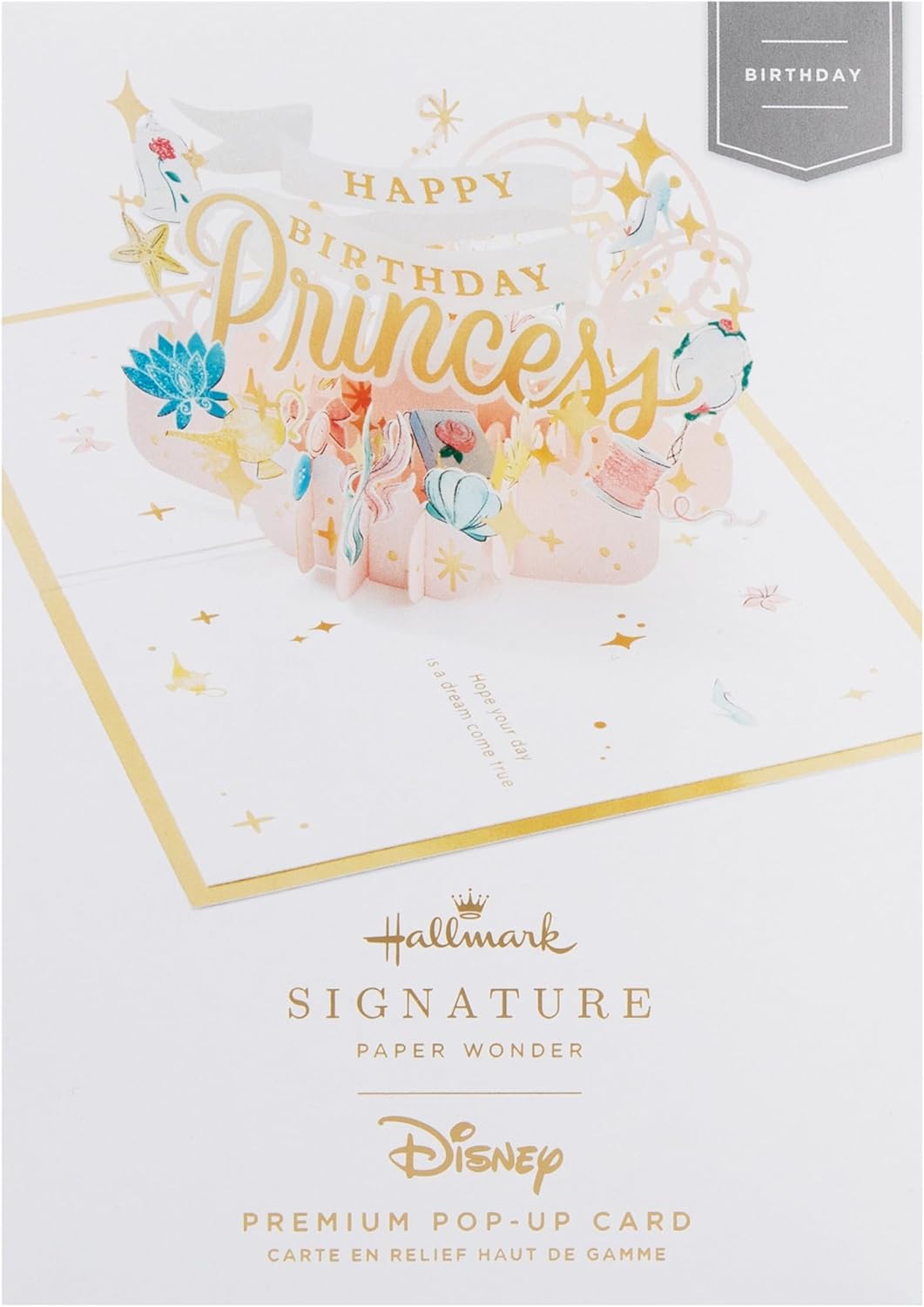 Disney Princess Design 3D & Pop Up Birthday Card
