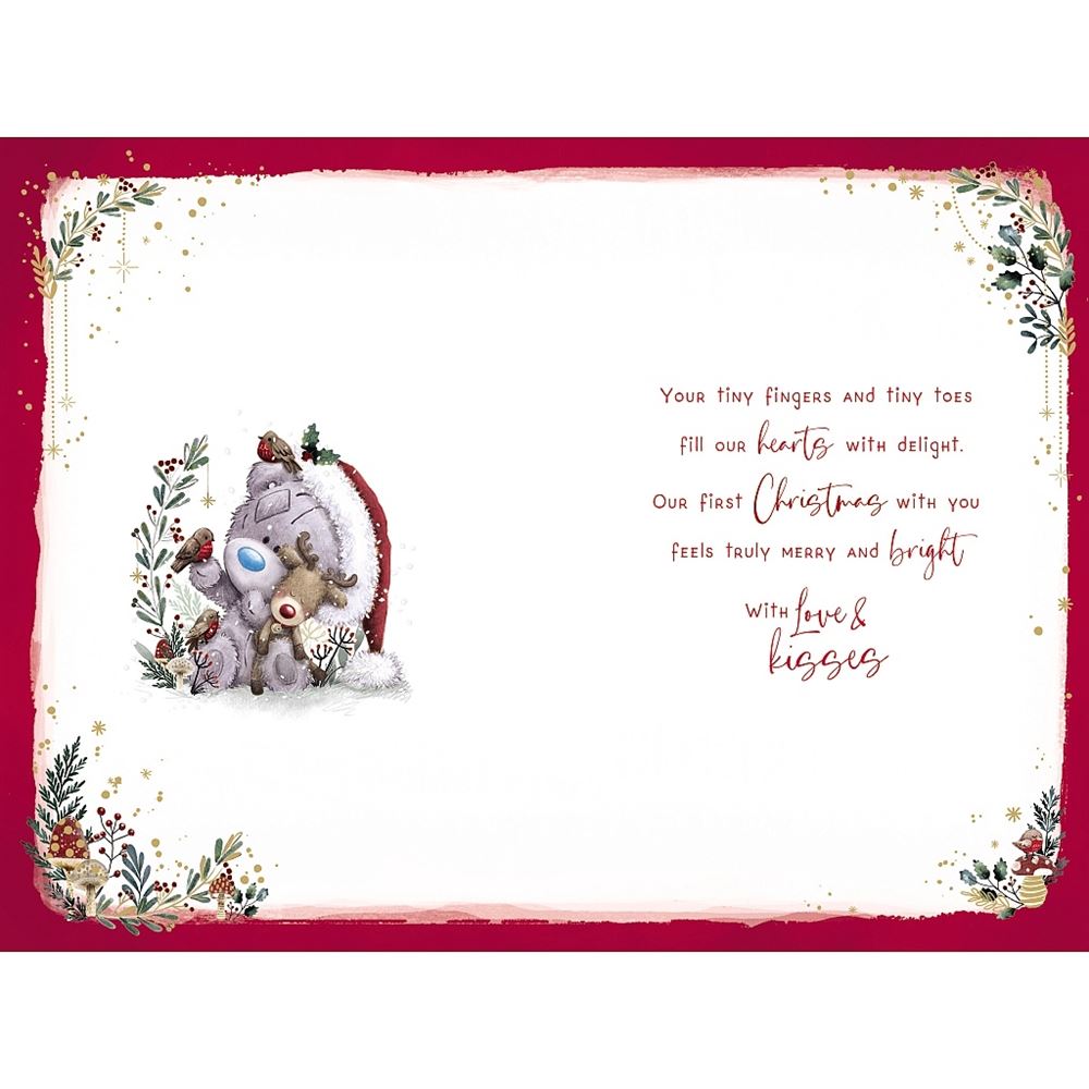 Bear With Robins Grandson's First Christmas Card