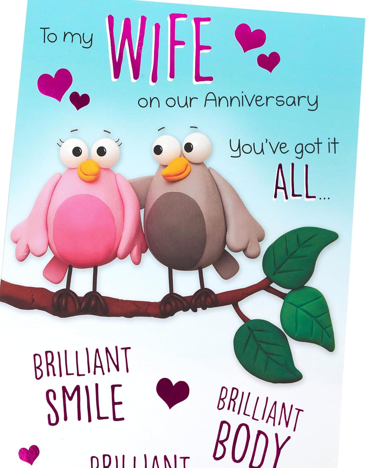 Cartoon Two Birds Design Wife Anniversary Card