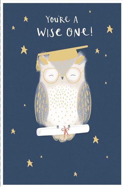 Graduation Congratulations Card Owl, You're a Wise One! Gold Foil Finish 