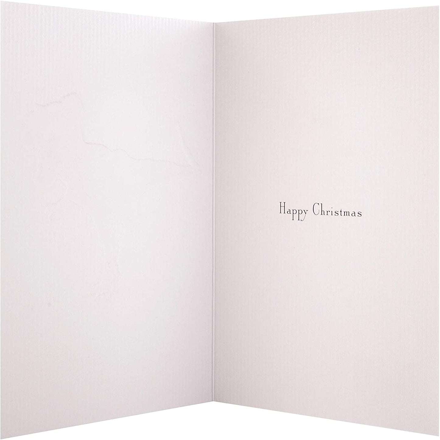 Dapper Dinosaur Design Husband Christmas Card