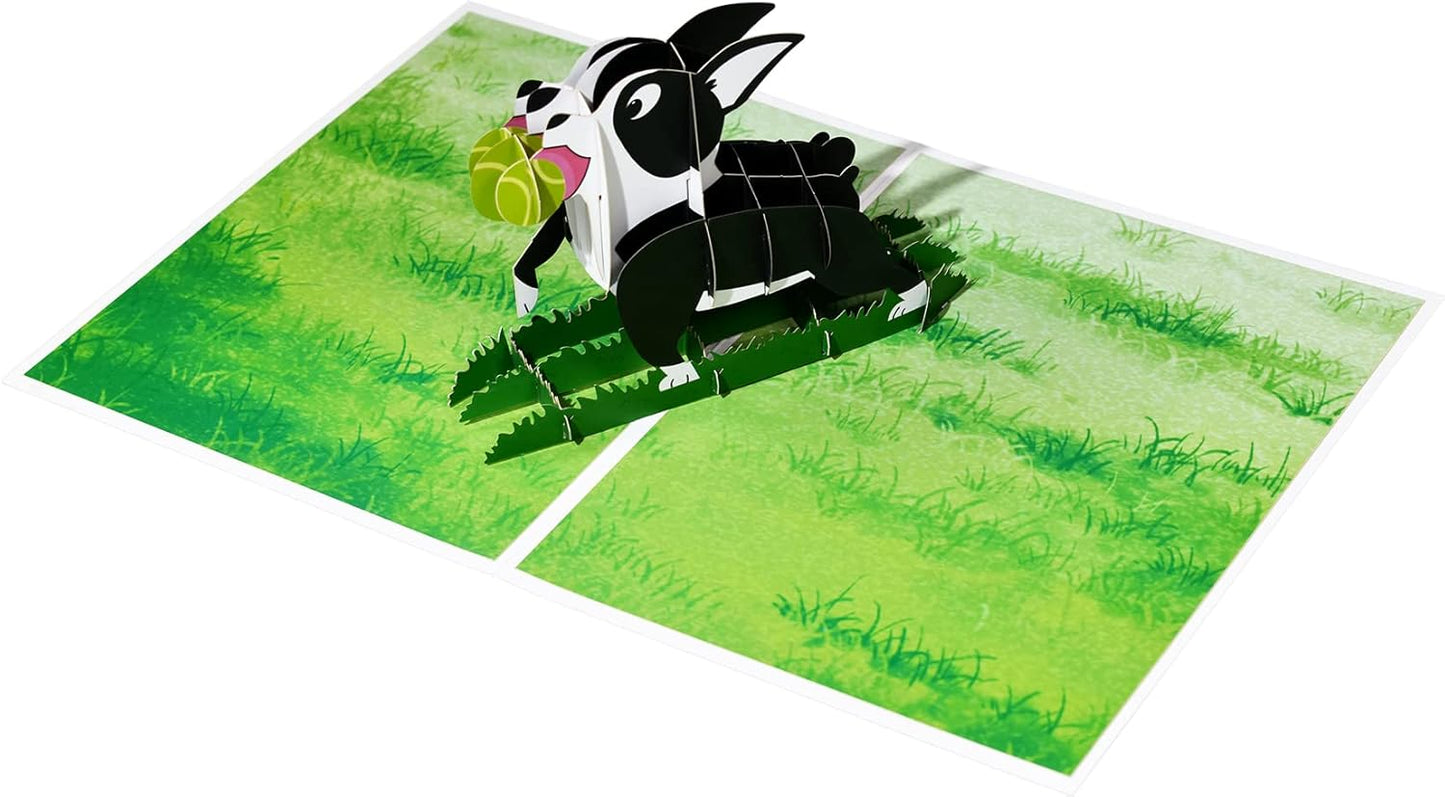 Ball and Grass Scene Boston Terrier Dog 3D Pop Up Greeting Card