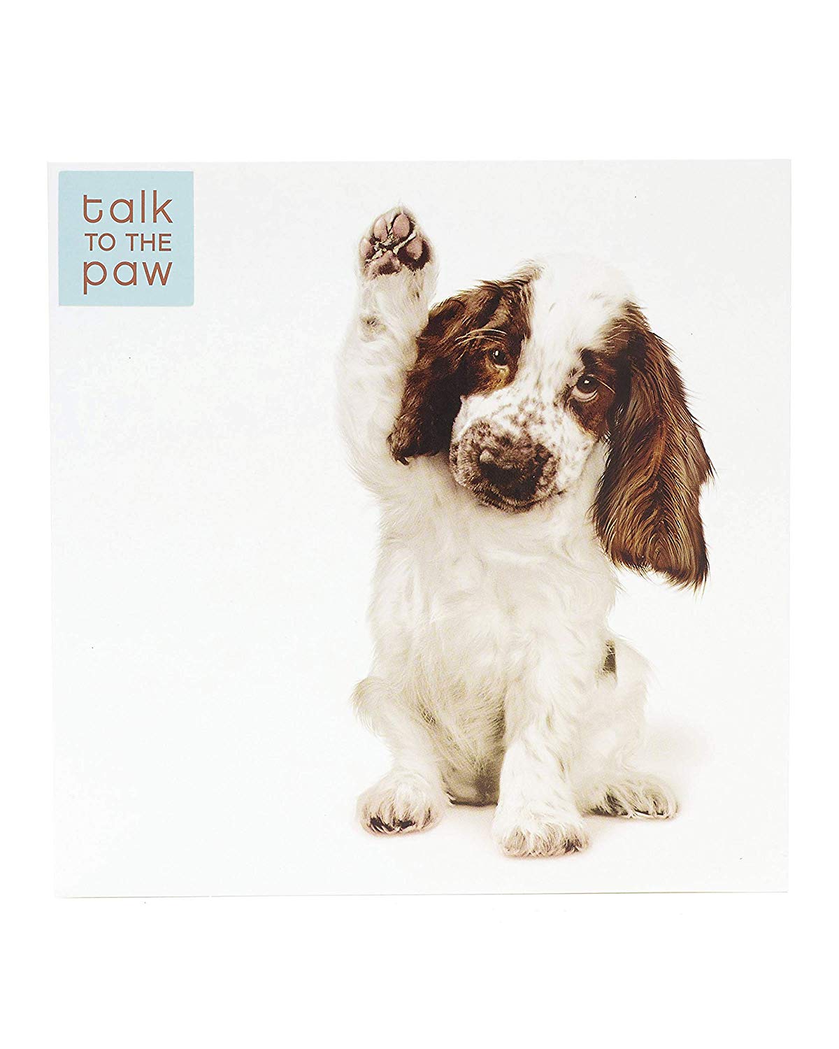 Cute Puppy Birthday Card Dog Card Blank Inside