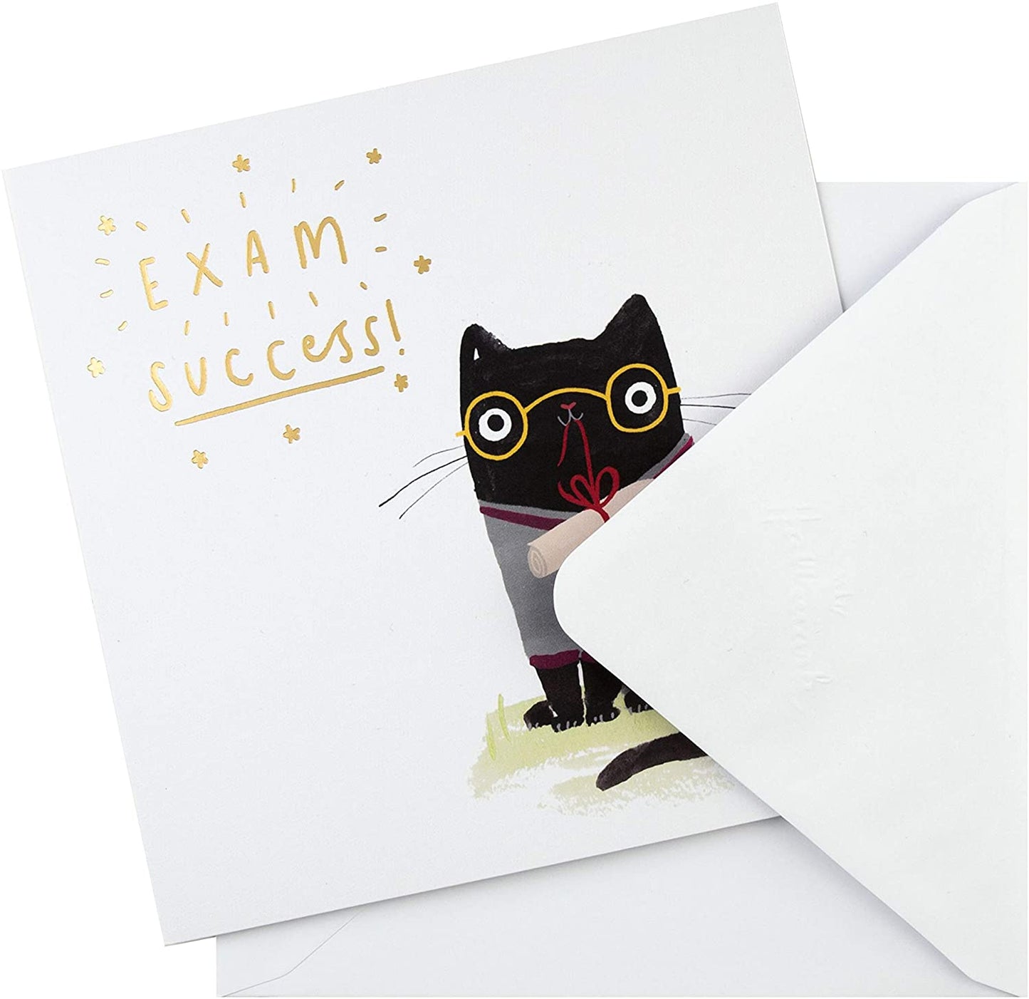 Cute Illustrated Cat Design Exam Success Congratulations Card