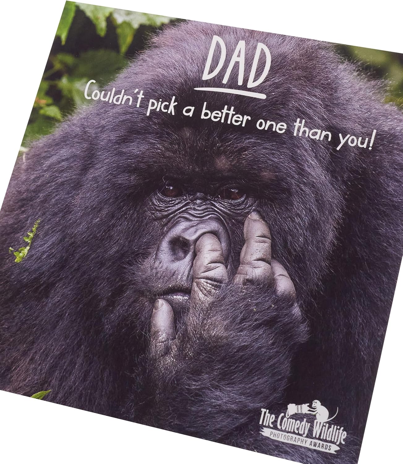 Couldn't Pick a Better One Design Dad Birthday Card