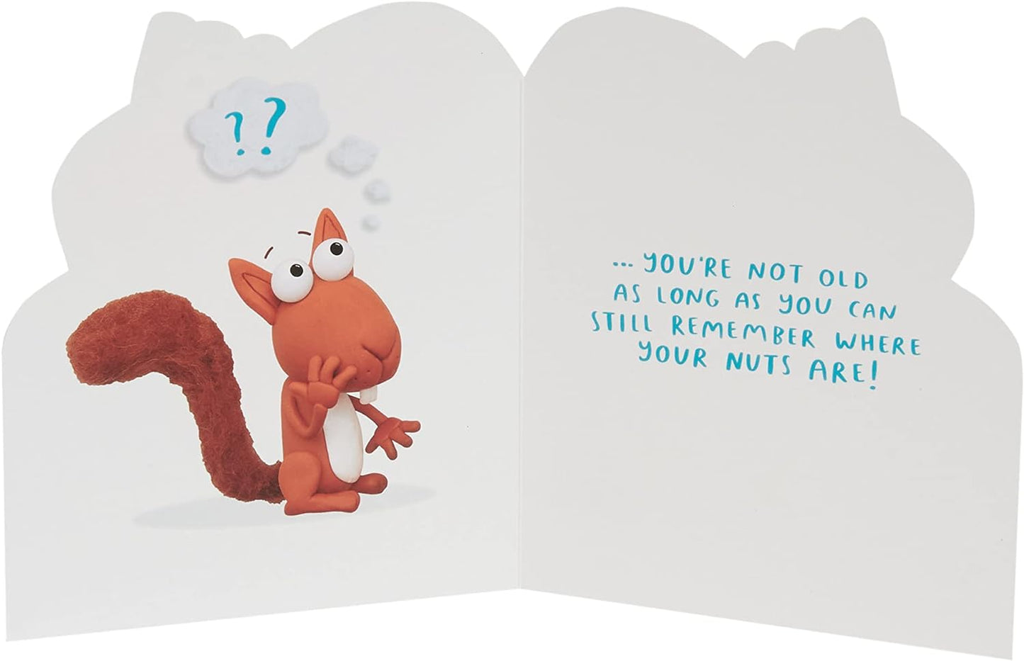 Funny Squirrel Design Birthday Card