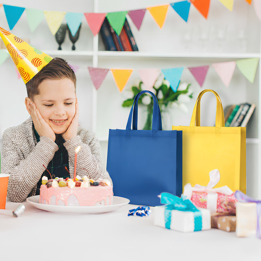 Pack of 25 White Coloured 40x30x10cm Non-Woven Bags with Handle