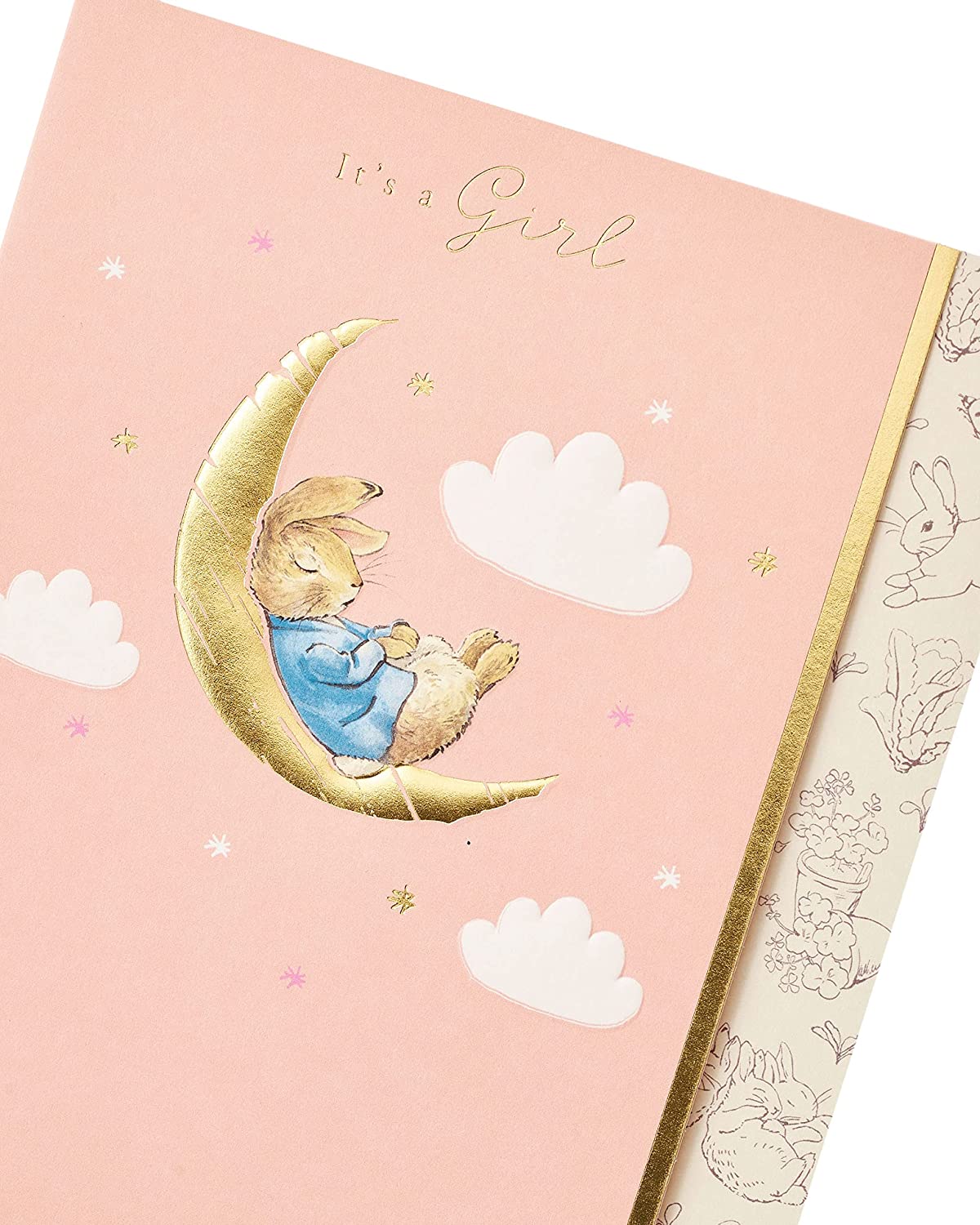 Peter Rabbit Cute New Baby Girl Congratulations Card