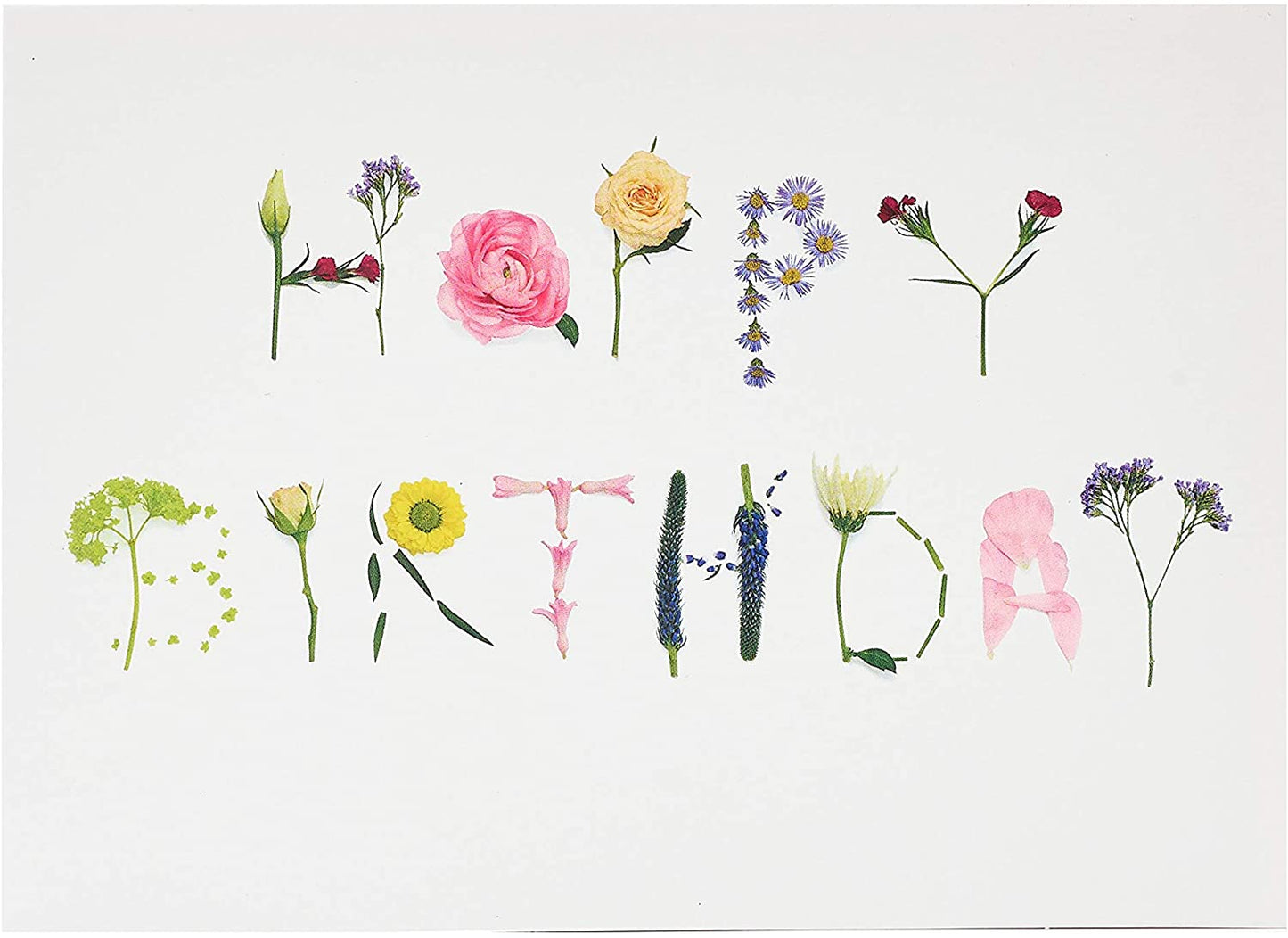 Different Parts of Plants Flower Design Beautiful Birthday Card