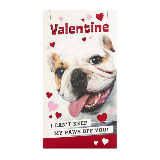 Hallmark Valentine's Day Card 'Paws Off You'
