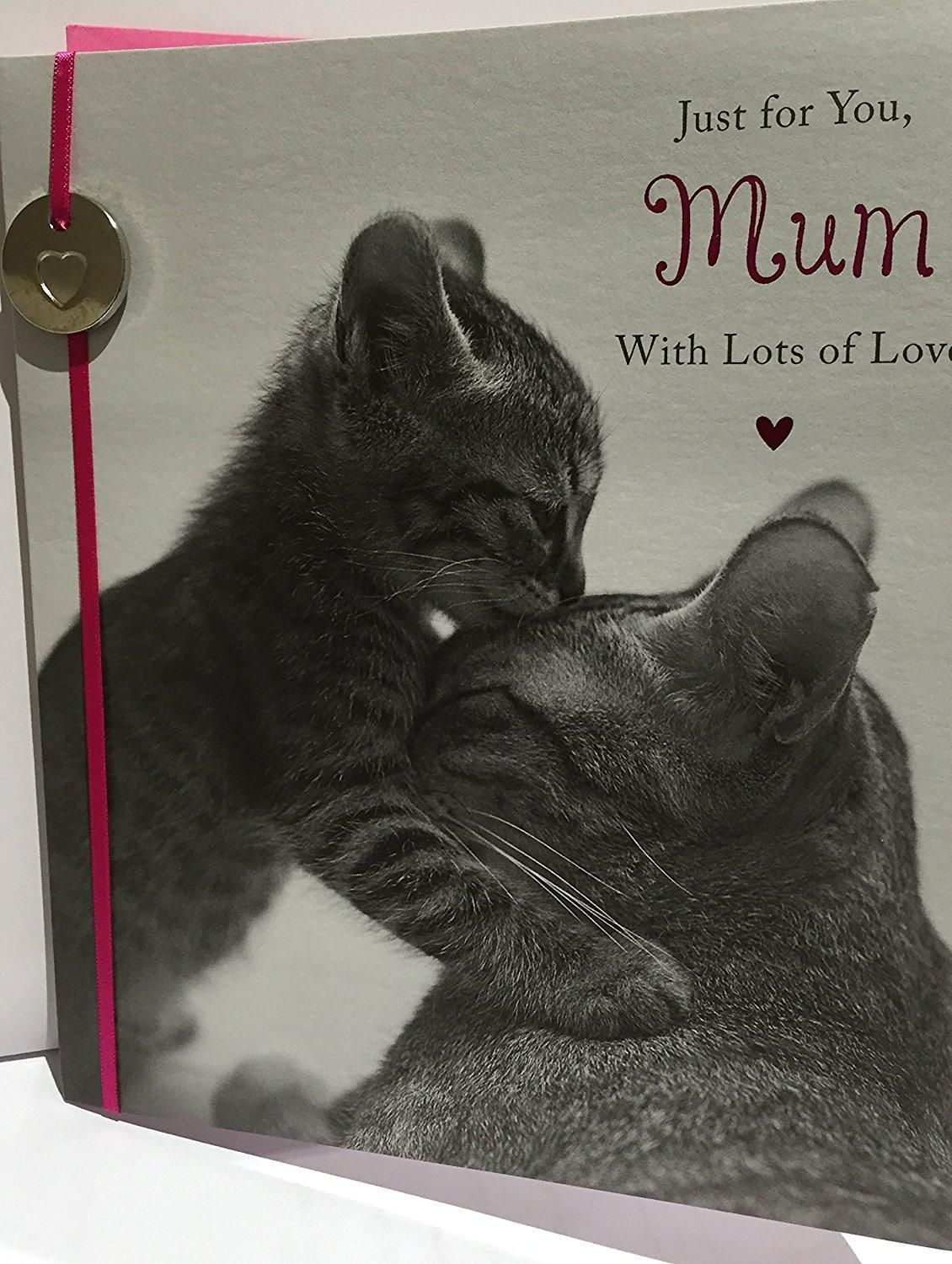 Just For You Mum Cute Cats Design Mother's Day Card