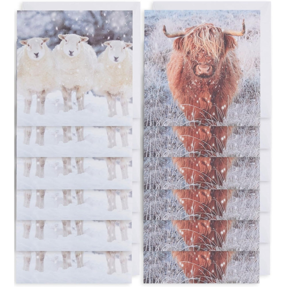 2 Animal Designs Multipack of 12 Christmas Cards