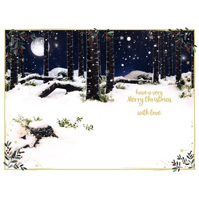 3D Holographic Someone Special Christmas Card
