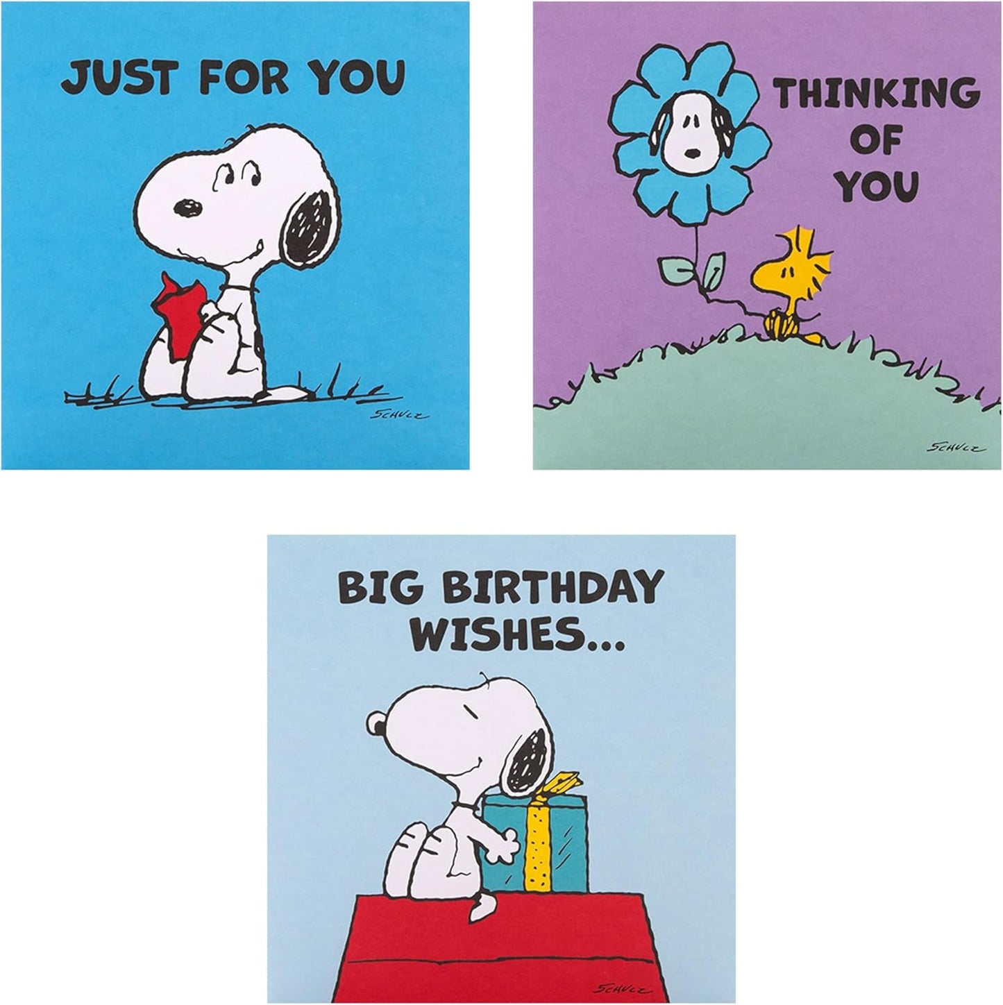Peanuts Comic Snoopy & Woodstock Pack of 10 in 5 Designs Birthday Cards