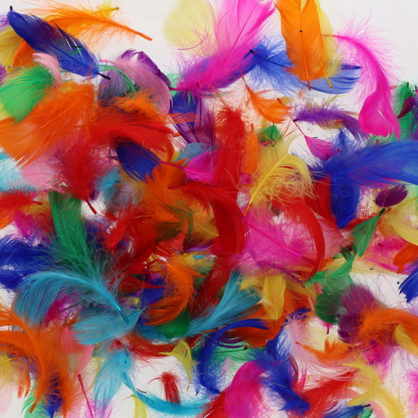 Bag of 10g Assorted Exotic Coloured Feathers by Crafty Bitz