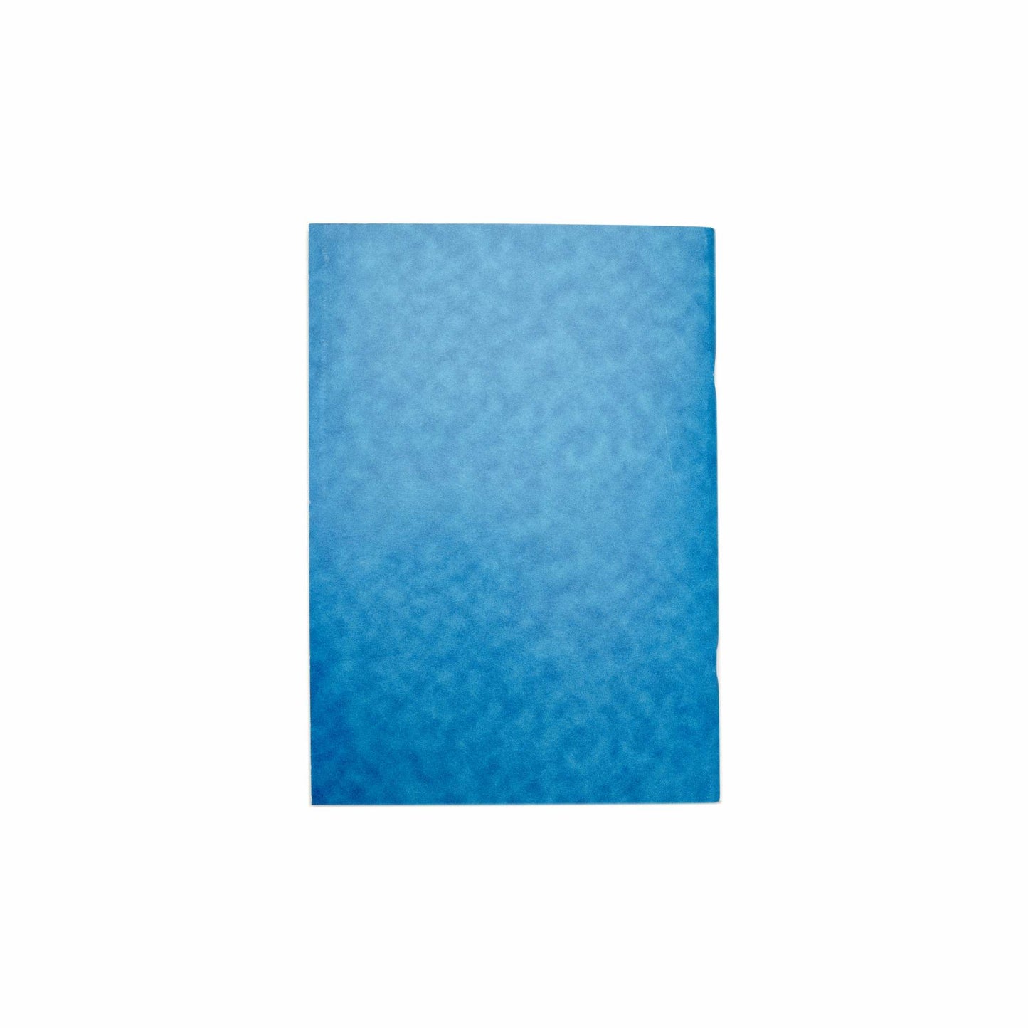 Pack of 5 Rhino A4 Blue 80 Pages Teacher's Record Books