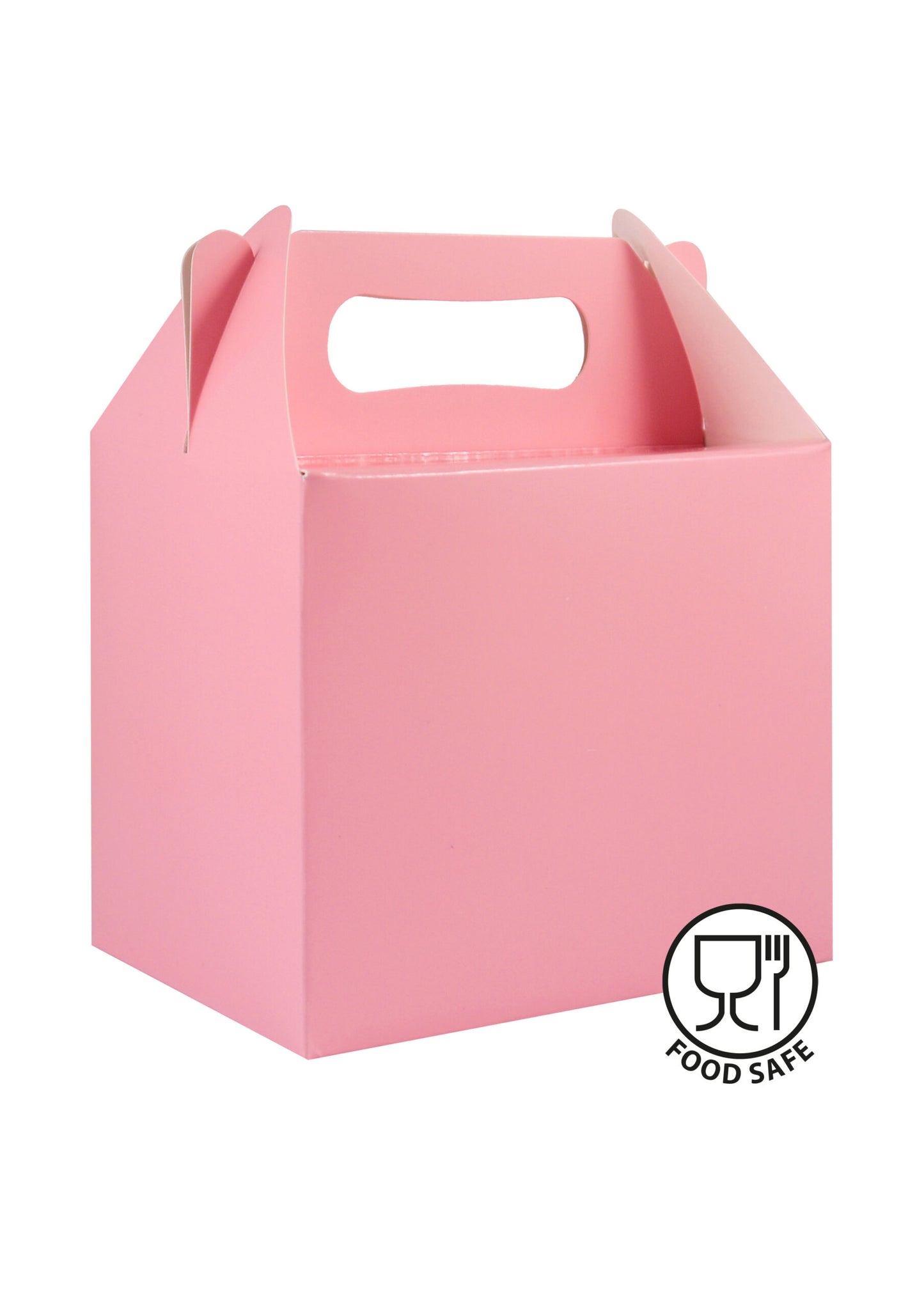 Baby Pink Lunch Box Party Favour Box