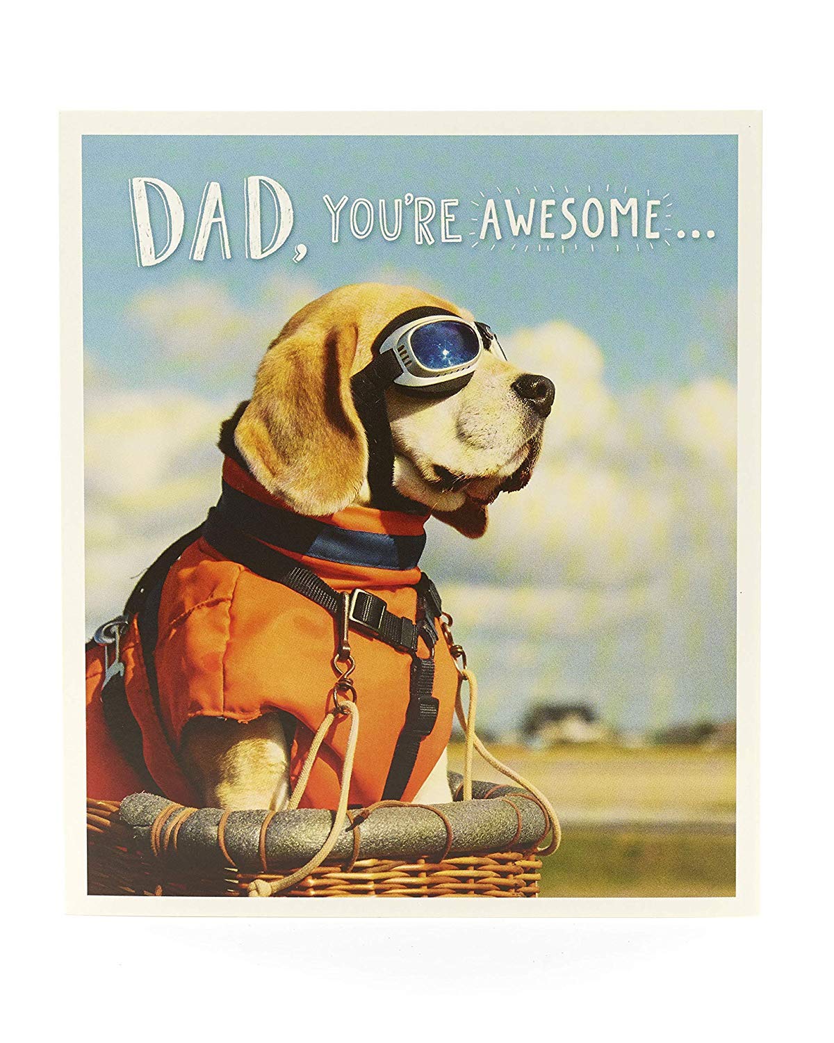 Dad Birthday Card Funny