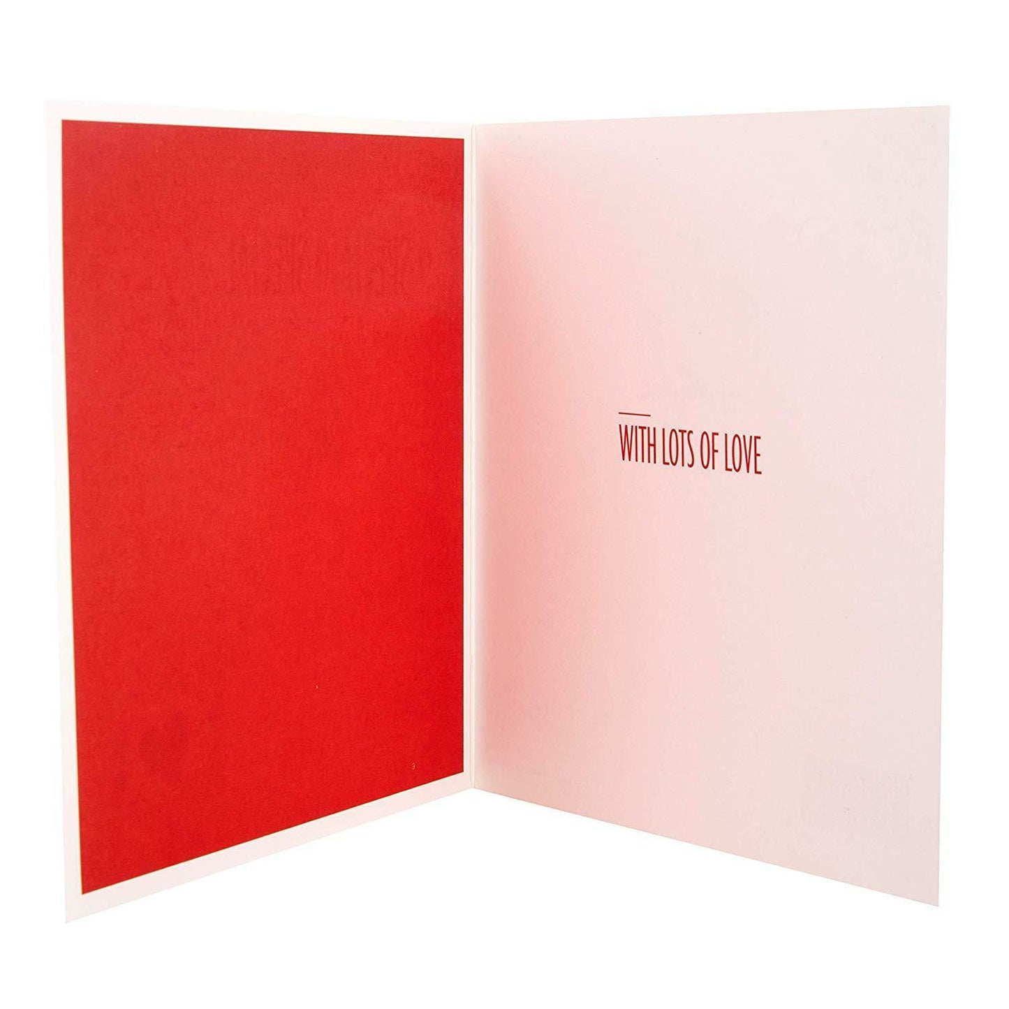 Hallmark Valentine's Day Card 'You're So Special'