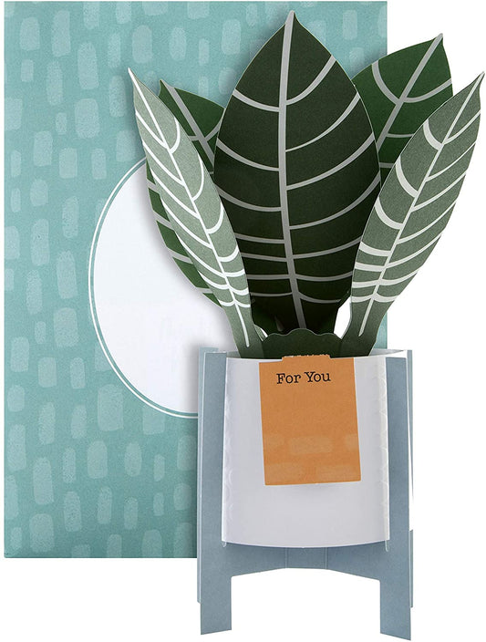 Contemporary Zebra Plant Design Pop Up Card
