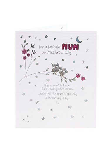 Fantastic Mum Oodles And Doodles Mother's Day Greetings Card