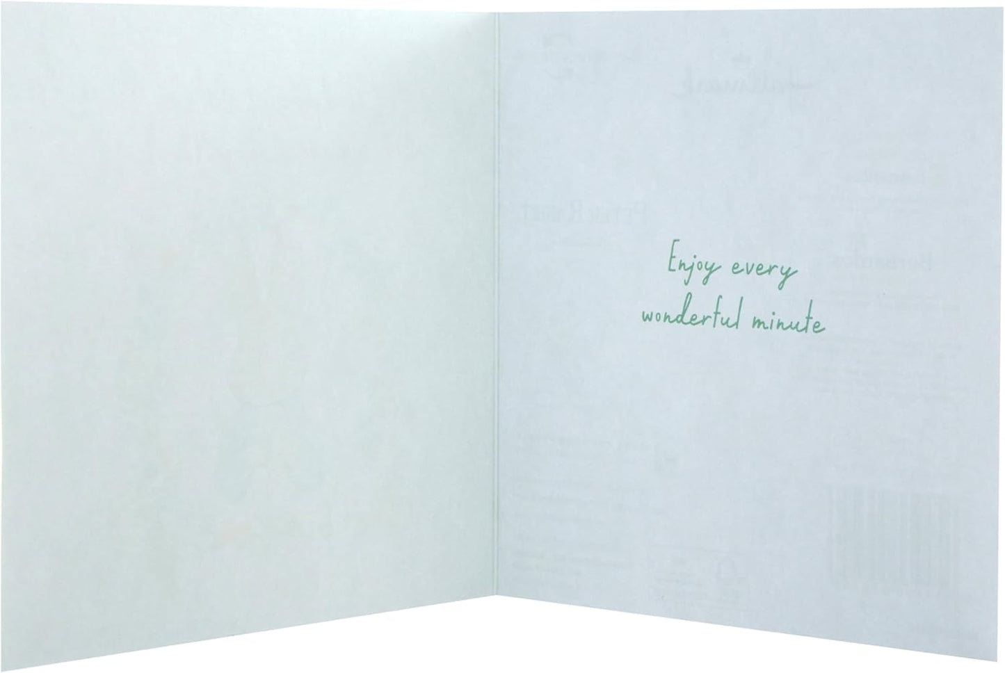 Peter Rabbit in 2 Designs Pack of 10 Charity Easter Cards