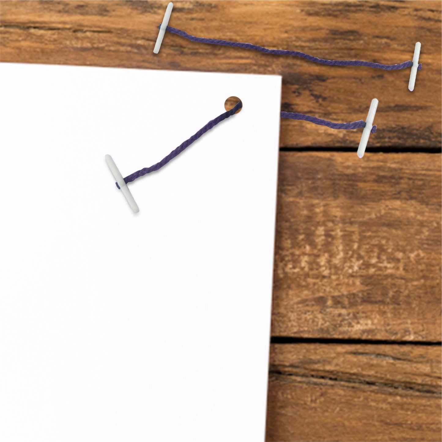 Pack of 1000 127mm Plastic End Violet Treasury Tags