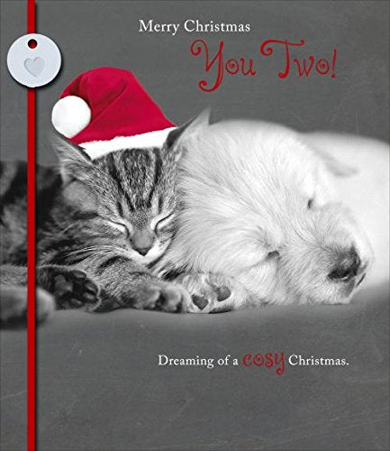 Both of You Santa Adorable Cat And Dog Couple Sleeping Christmas Card 